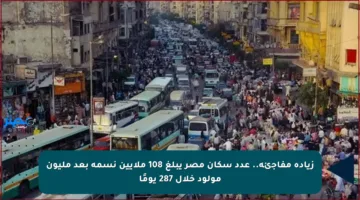 زيادة مفاجئة.. عدد سكان مصر يبلغ 108 ملايين نسمة بعد مليون مولود خلال 287 يومًا